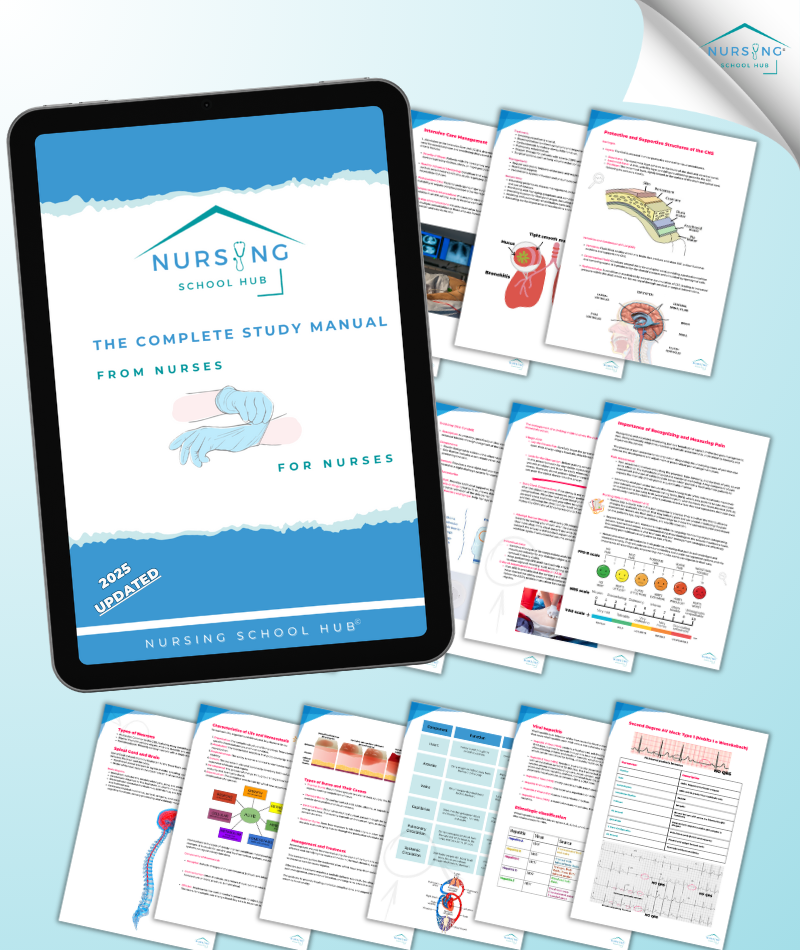 All-in-one Nursing Student Bundle